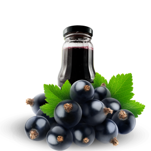 Butelka Czarna Porzeczka 100% Tłoczony 300 ml