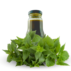 Butelka Pokrzywa 100% Tłoczony 300 ml