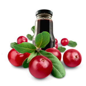 Butelka Żurawina 100% Tłoczony 300 ml